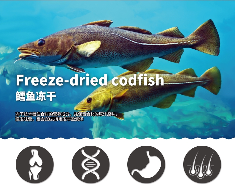 比乐 原味真系列全期猫粮 2kg
