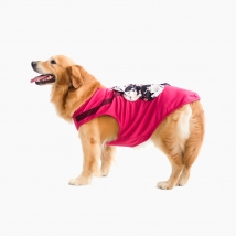 瑞恩Ryan&dog 夏日凉凉衣大型犬专用 物理降温 速干透气