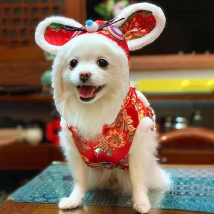 Ryan&dog 瑞恩 宫廷风福气鼠百年狗狗衣服唐装中小型犬猫法斗