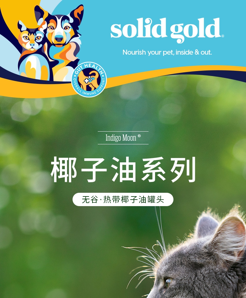 Solid Gold金装系列 宠物零食三文鱼椰子油配方猫罐头 170g 猫湿粮