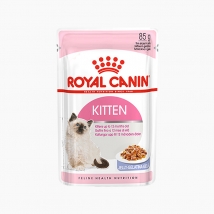 皇家 幼年期全价猫粮湿粮啫喱肉冻 85g