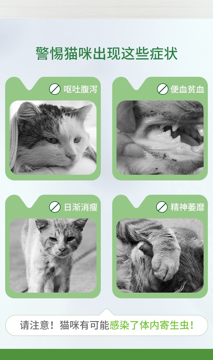 拜宠清 猫体内驱虫 单粒 温和驱虫