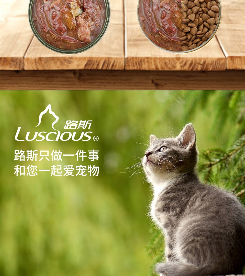 路斯 非尝大块金枪鱼 牛肉猫罐头 170g*12罐