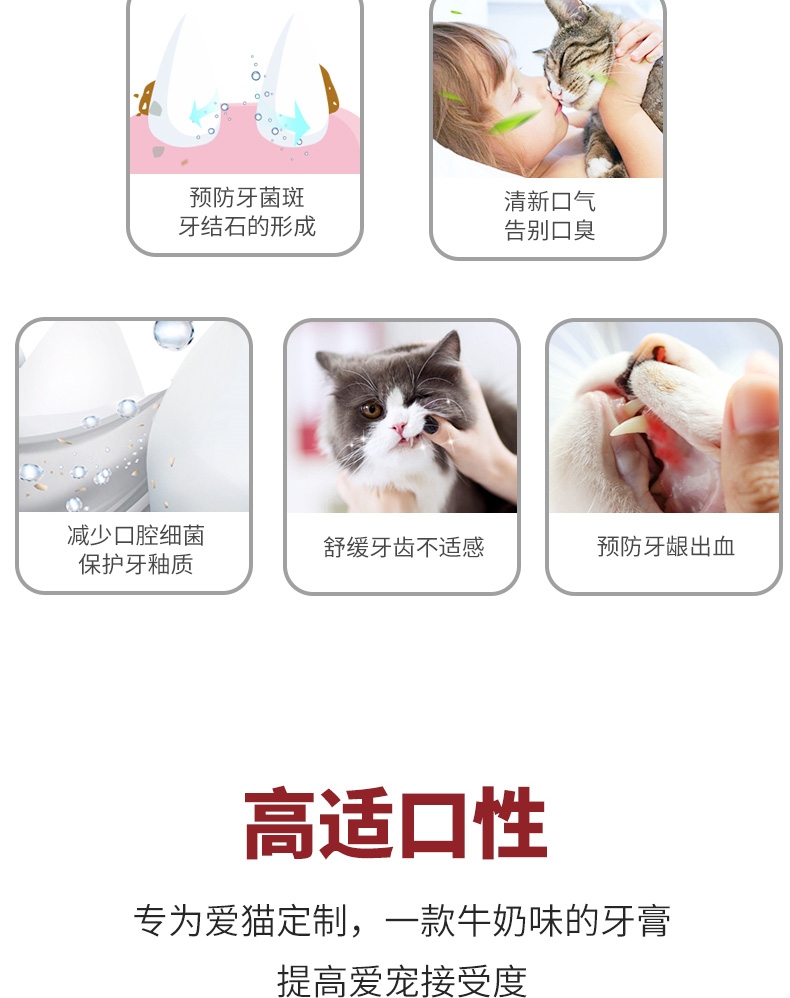 KOJIMA 猫用乳酸菌牙膏 40G 清新口气 减少细菌增生