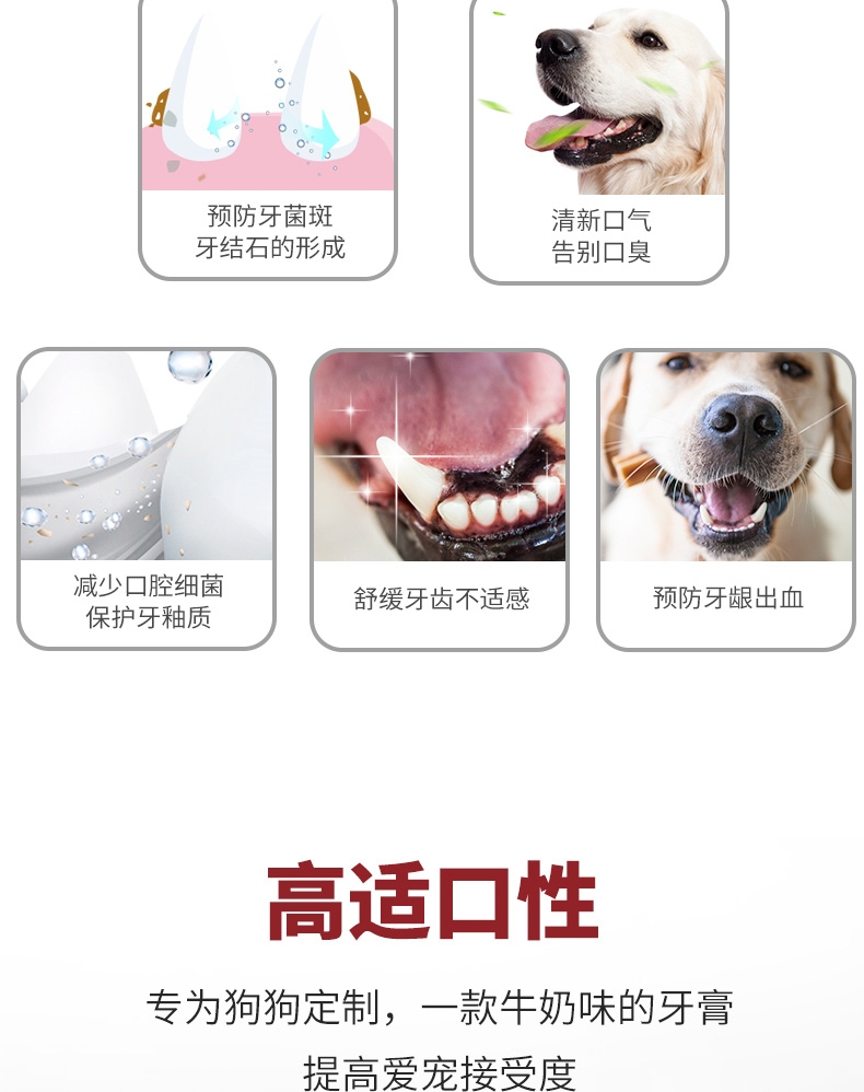 KOJIMA 狗用乳酸菌牙膏 40G 清新口气 减少细菌增生