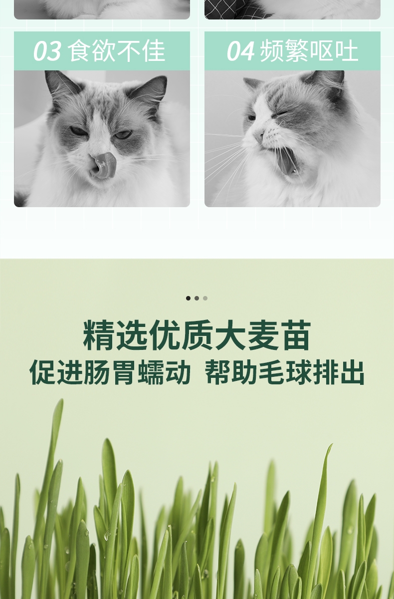怡亲 宠物零食猫用植物化毛猫草粒 30g*2