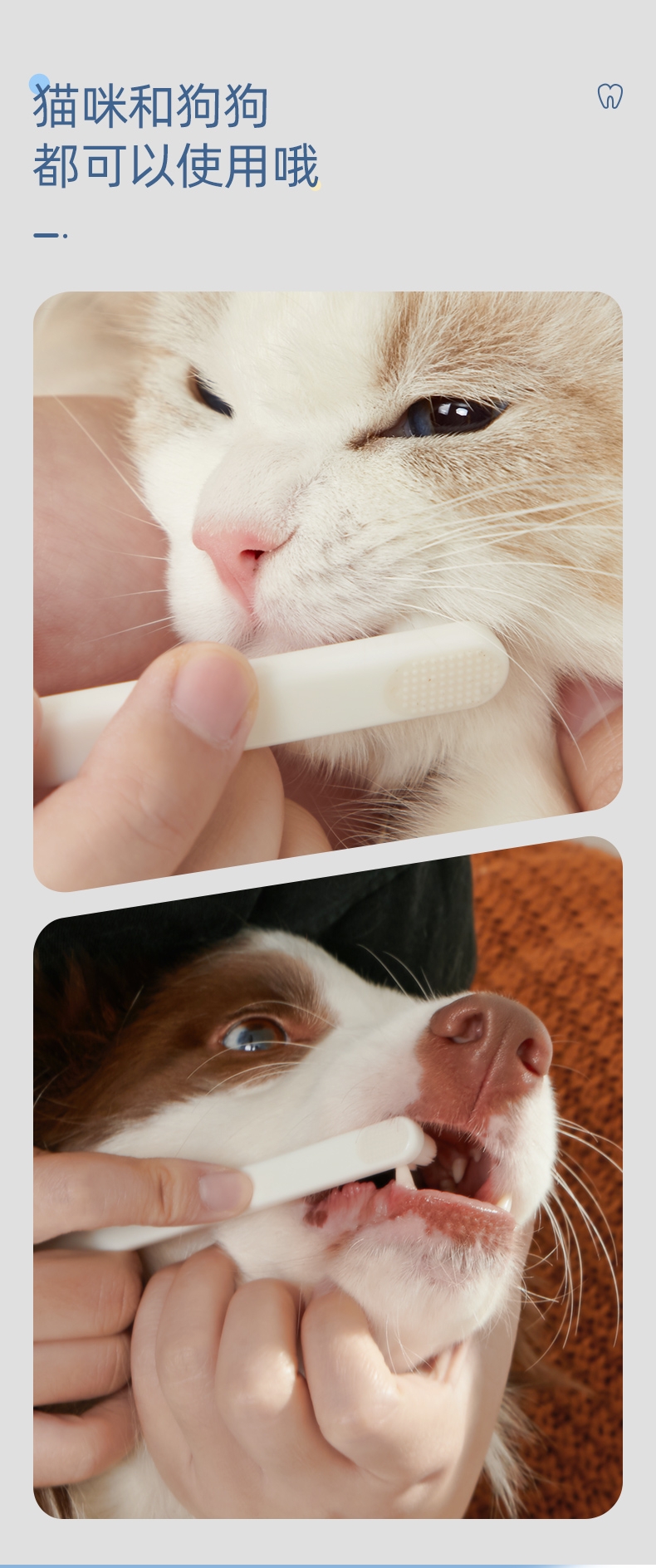 多可特 猫狗通用万毛宠物牙刷