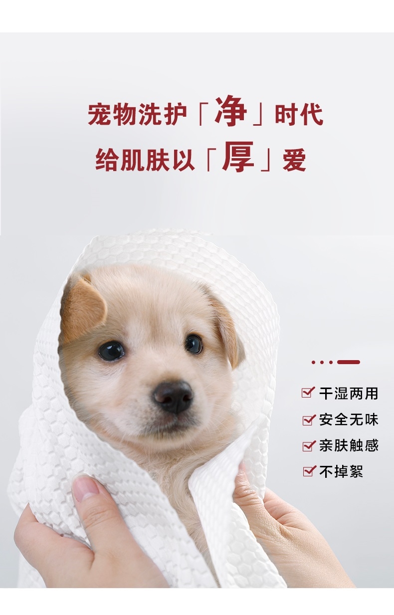 KOJIMA 一次性宠物浴巾 12片 (新尺寸：700*300mm/片）