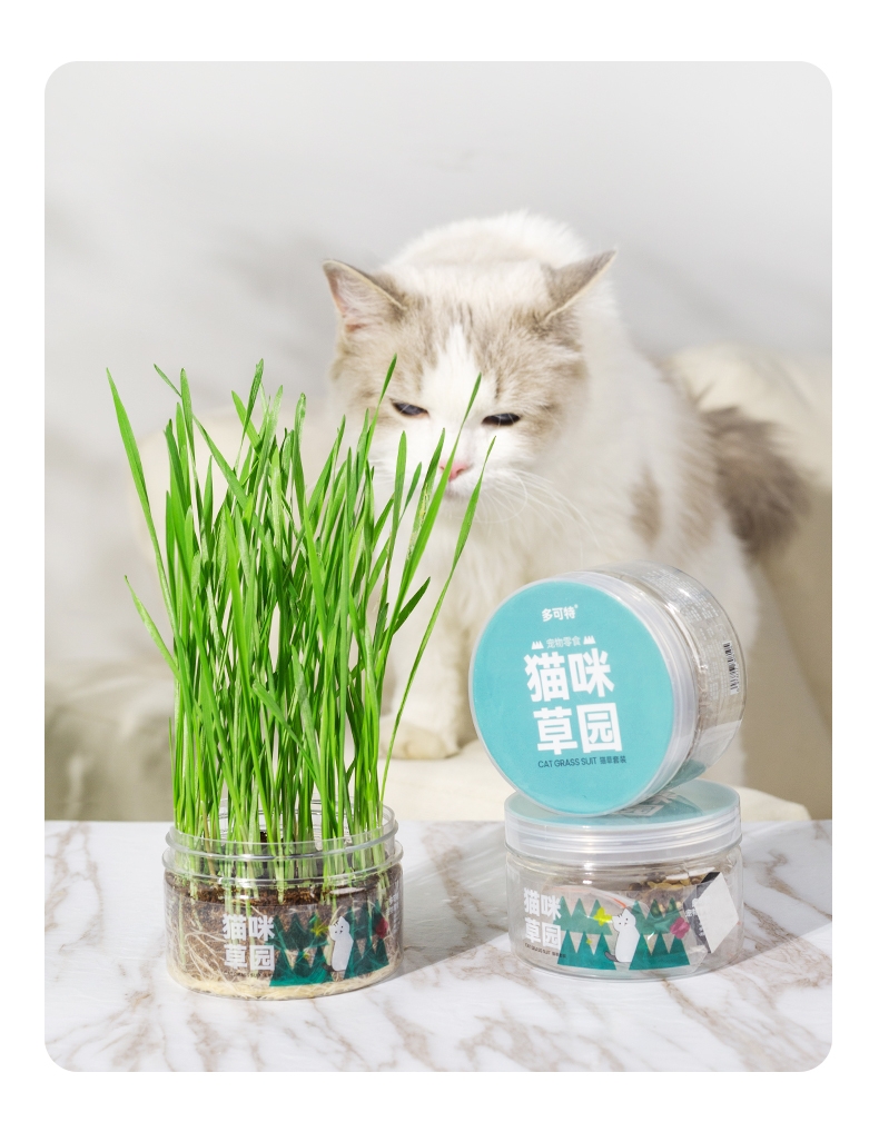 多可特 猫草套装（种子+营养土+罐子）