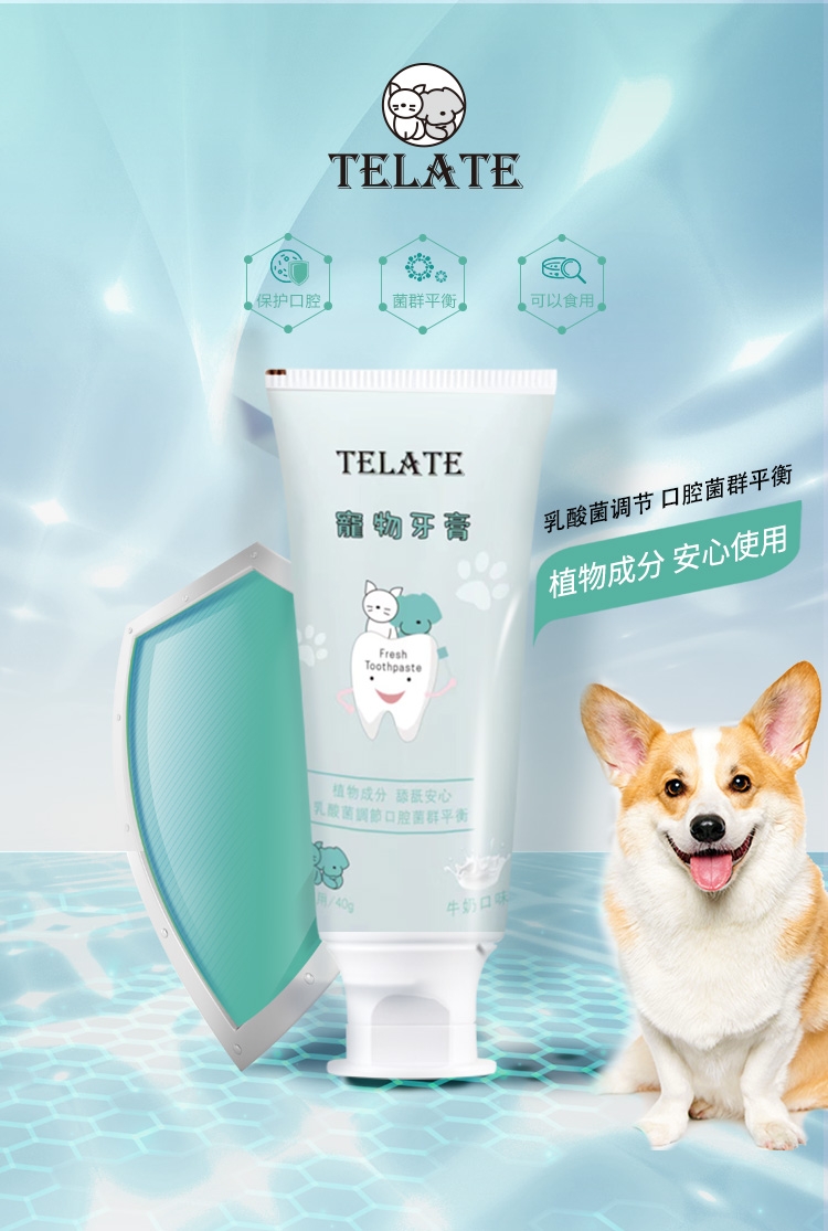Telate 犬猫通用360度牙刷 颜色随机