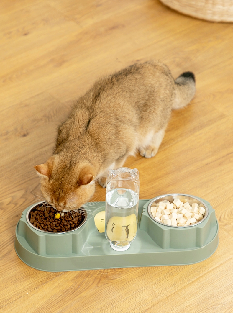 多可特 胡须猫咪餐具猫碗双碗水盆一体机