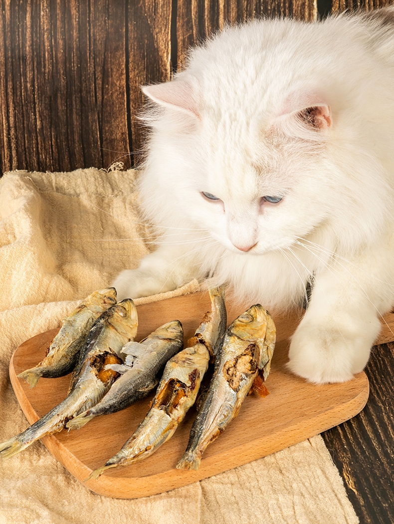 多可特 宠物零食猫咪零食冻干鲱鱼 50g 补充营养