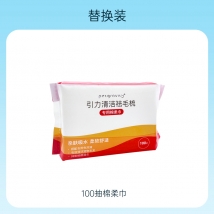 petgravity引力清洁祛毛梳专用棉柔巾100抽