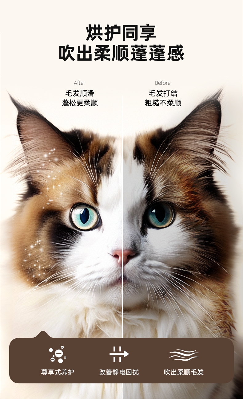 玩尾 宠物智能烘干箱 KD005