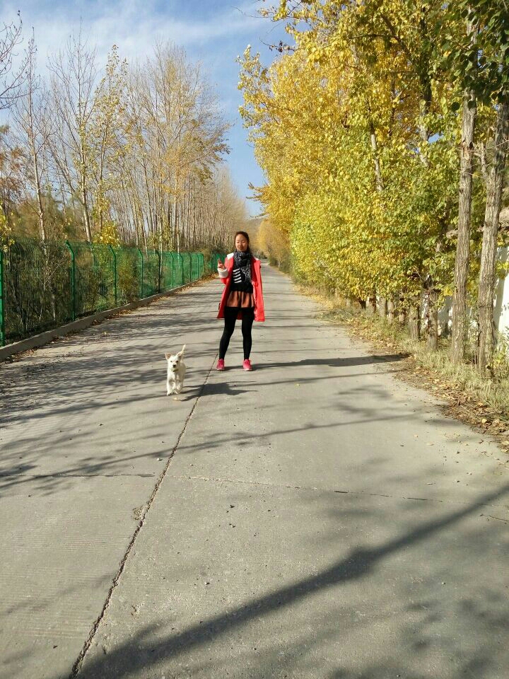 点点宝贝3