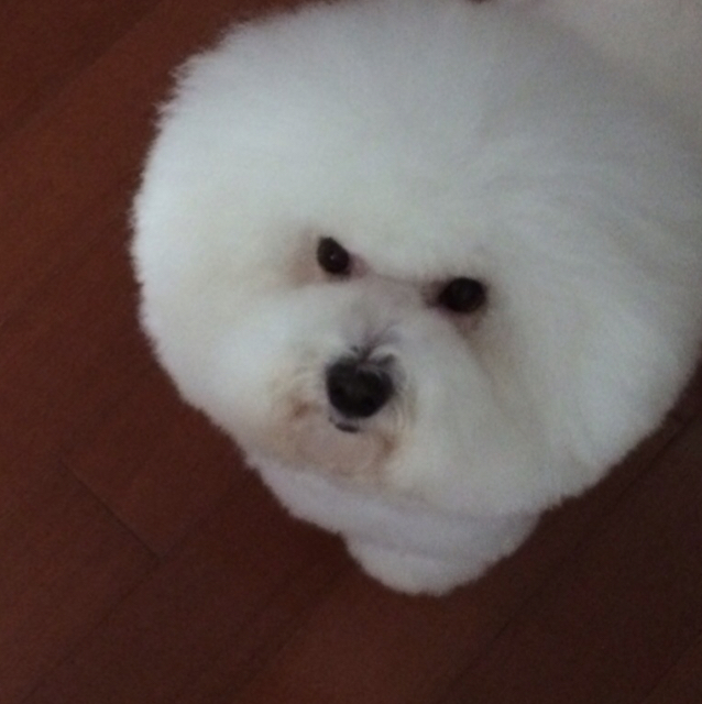 大头要补钙