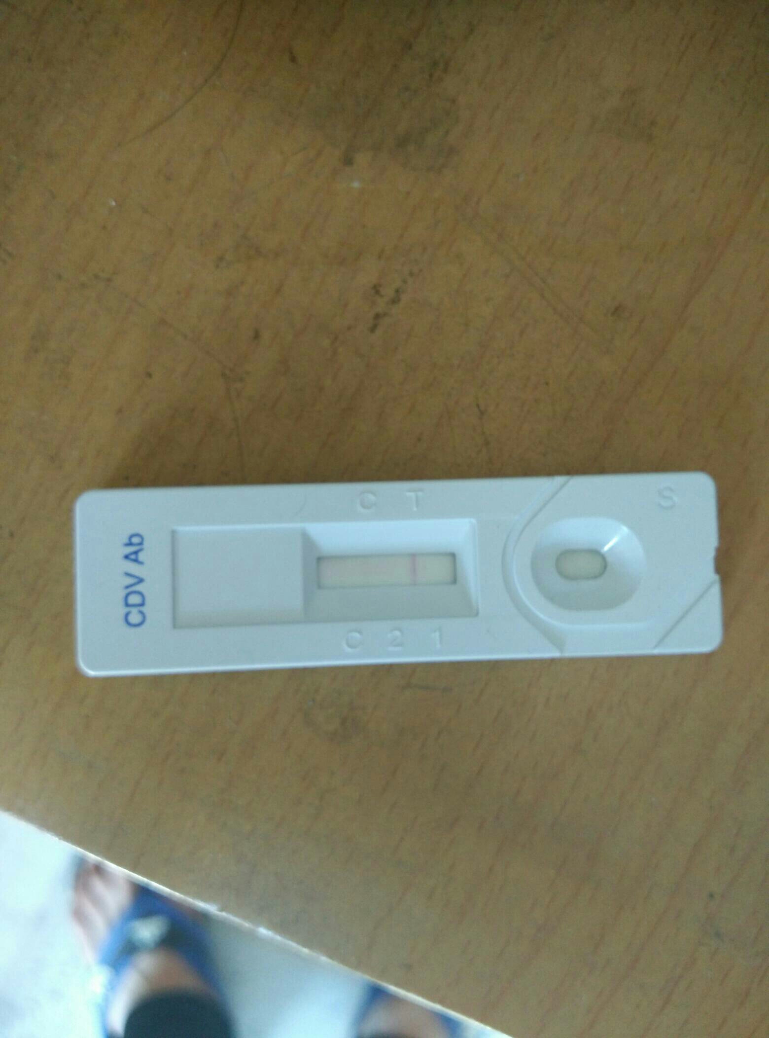 img63545621d79144c18.jpg
