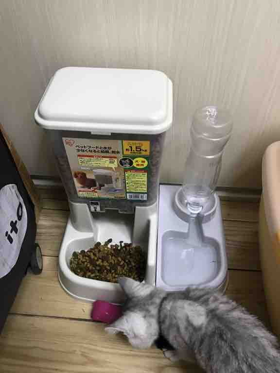 img7867588df29adf027.jpg