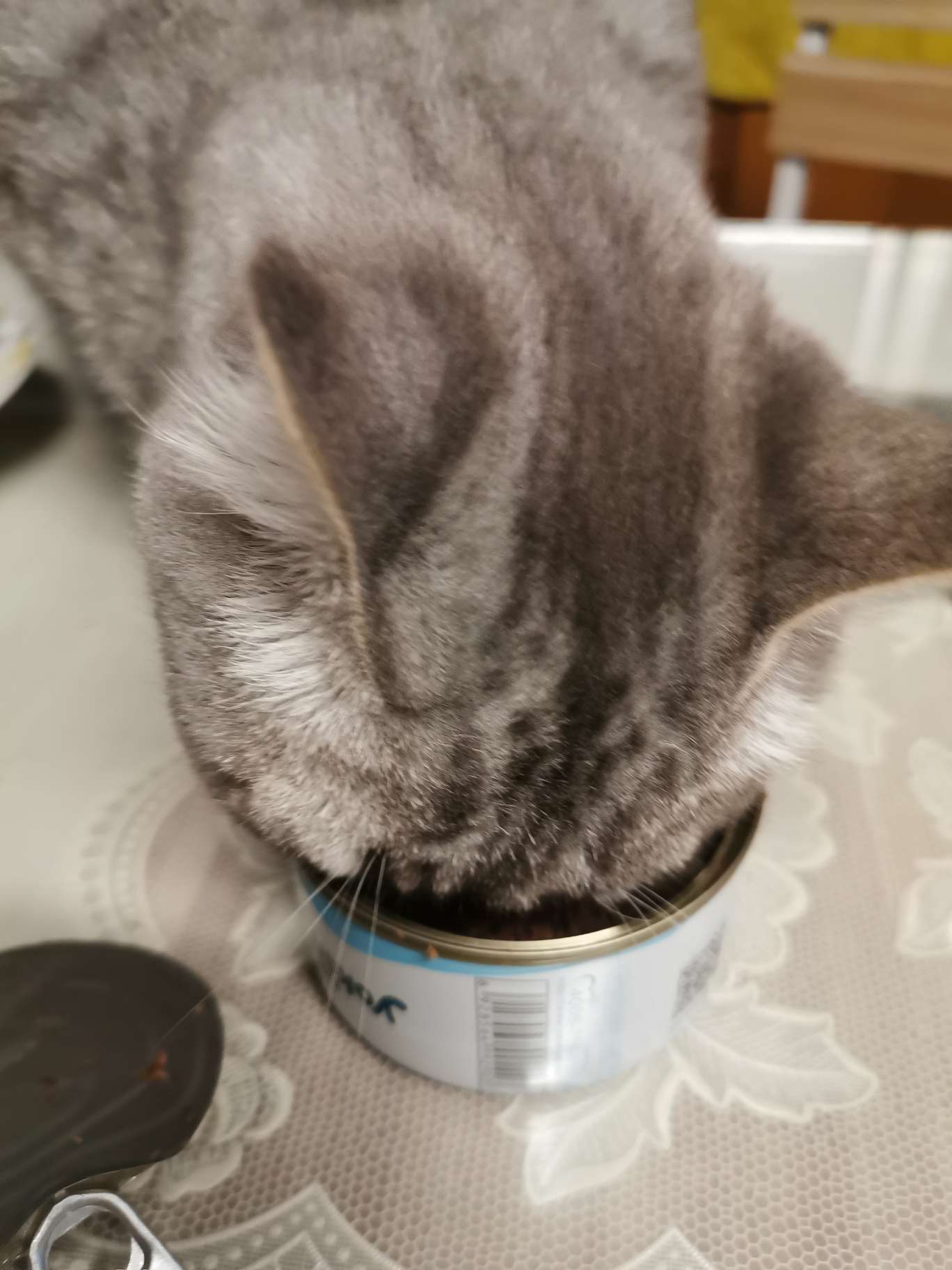 怡亲yoken 吞拿鱼三文鱼健康机能猫罐头 170g*12