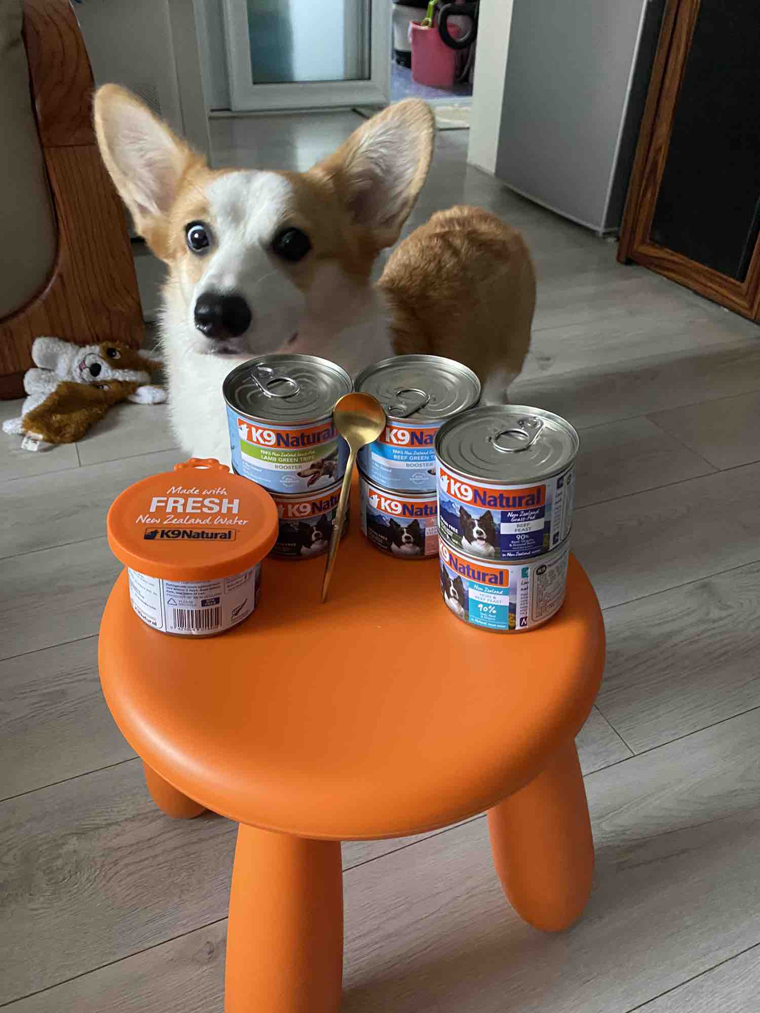 真致zeal 天然鲜牛乳犬猫专用牛奶 1l 宠物牛奶 新西兰进口