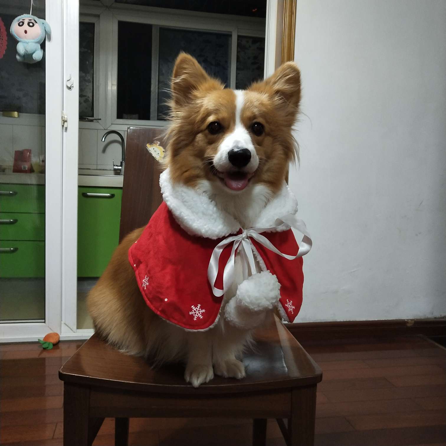 顽皮Wanpy happy100混合口味狗罐头 95g*12