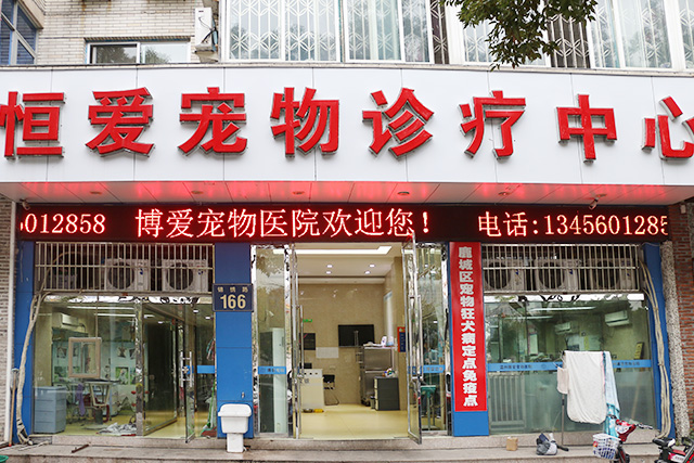 【锦绣路】恒爱宠物诊所(锦绣路) 5kg以内公犬绝育套餐(气麻)