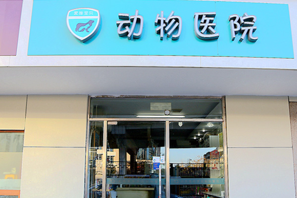 【双井】北京爱雅宝贝动物医院 猫咪洗牙套餐