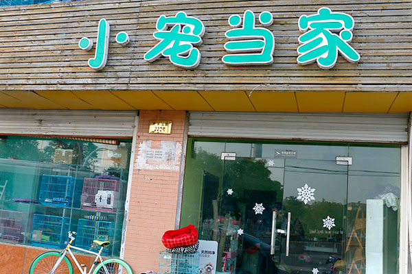 【滨江路】小宠当家(滨江路) 5kg以内狗狗洗澡 药浴套餐